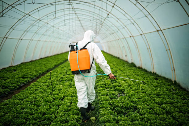 Best Best Pest Control Companies  in Gaithersburg, MD