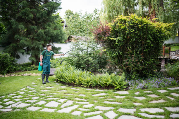 Best Ant Control Services  in Gaithersburg, MD