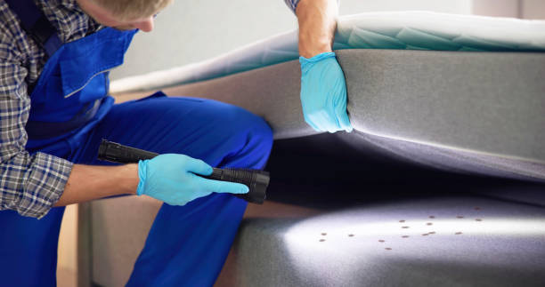 Best Pest Control Near Me  in Gaithersburg, MD