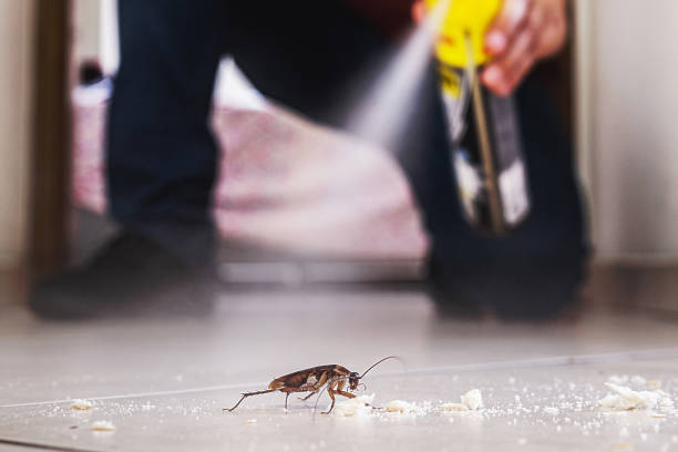 Best Affordable Pest Control Services  in Gaithersburg, MD