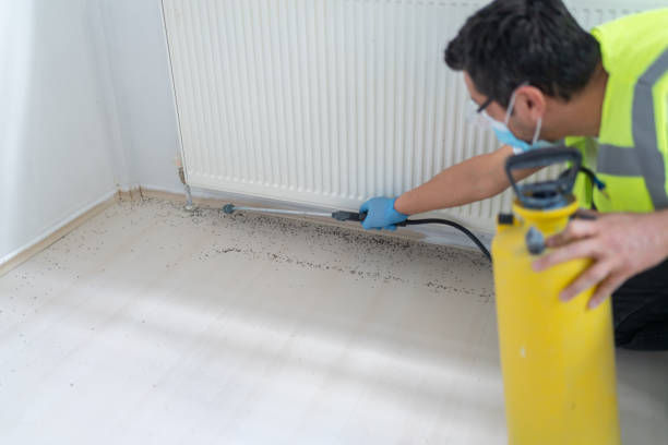 Pest Prevention Services in Gaithersburg, MD